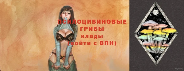 спиды Михайловск