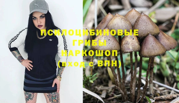 спиды Михайловск