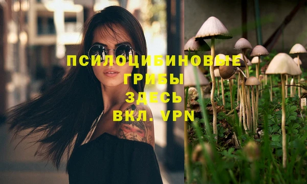 гашиш Михайлов